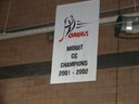The Champion's Banner