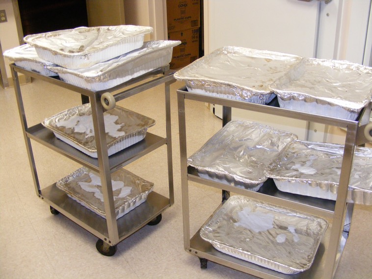 Aunt Bev's cabbage rolls